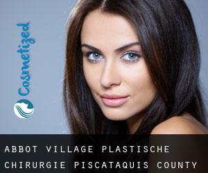 Abbot Village plastische chirurgie (Piscataquis County, Maine)