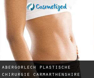 Abergorlech plastische chirurgie (Carmarthenshire, Wales)