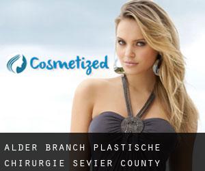 Alder Branch plastische chirurgie (Sevier County, Tennessee)