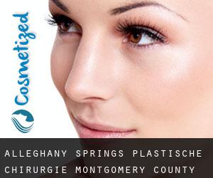 Alleghany Springs plastische chirurgie (Montgomery County, Virginia)