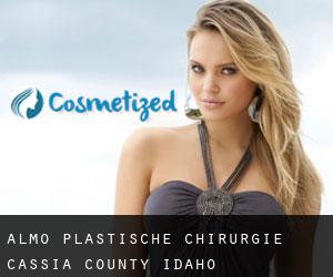 Almo plastische chirurgie (Cassia County, Idaho)