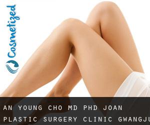 An Young CHO MD, PhD. Joan Plastic Surgery Clinic (Gwangju)