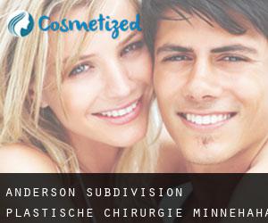 Anderson Subdivision plastische chirurgie (Minnehaha County, South Dakota)