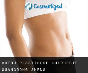 Aotou plastische chirurgie (Guangdong Sheng)
