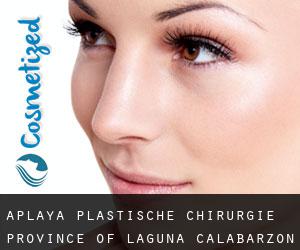 Aplaya plastische chirurgie (Province of Laguna, Calabarzon)