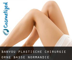 Banvou plastische chirurgie (Orne, Basse-Normandie)