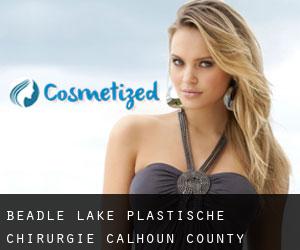 Beadle Lake plastische chirurgie (Calhoun County, Michigan)
