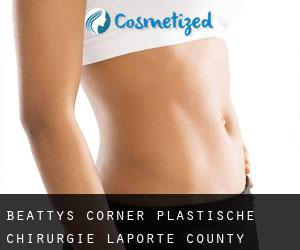 Beattys Corner plastische chirurgie (LaPorte County, Indiana)