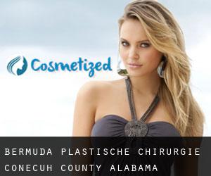 Bermuda plastische chirurgie (Conecuh County, Alabama)
