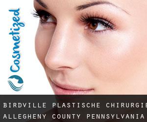 Birdville plastische chirurgie (Allegheny County, Pennsylvania)