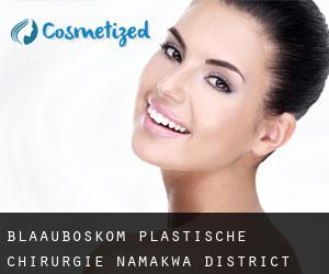 Blaauboskom plastische chirurgie (Namakwa District Municipality, Northern Cape)