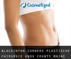 Blackinton Corners plastische chirurgie (Knox County, Maine)