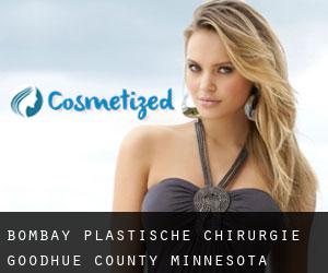 Bombay plastische chirurgie (Goodhue County, Minnesota)