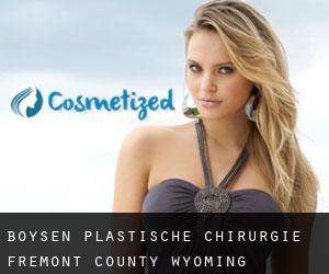 Boysen plastische chirurgie (Fremont County, Wyoming)