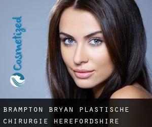 Brampton Bryan plastische chirurgie (Herefordshire, England)