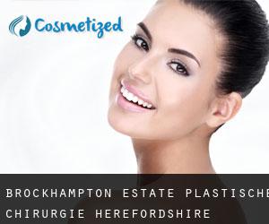 Brockhampton Estate plastische chirurgie (Herefordshire, England)