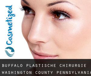 Buffalo plastische chirurgie (Washington County, Pennsylvania)