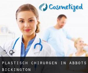 Plastisch Chirurgen in Abbots Bickington