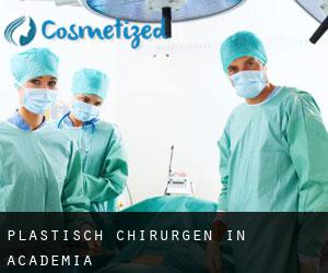 Plastisch Chirurgen in Academia