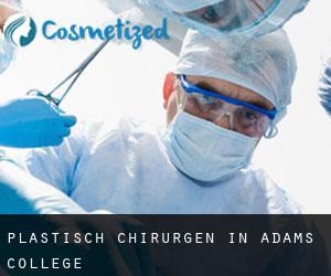Plastisch Chirurgen in Adams College