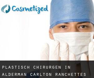 Plastisch Chirurgen in Alderman-Carlton Ranchettes