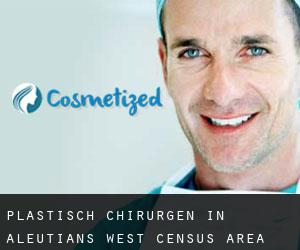 Plastisch Chirurgen in Aleutians West Census Area