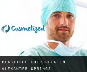 Plastisch Chirurgen in Alexander Springs