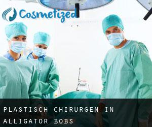 Plastisch Chirurgen in Alligator Bobs