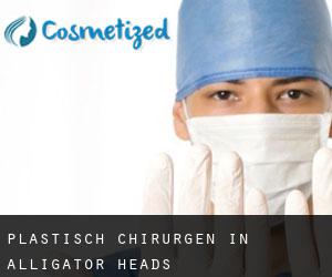 Plastisch Chirurgen in Alligator Heads Plastisch Chirurgen in Alligator Heads