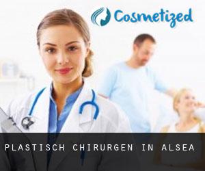 Plastisch Chirurgen in Alsea