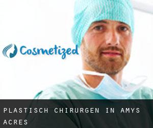 Plastisch Chirurgen in Amys Acres