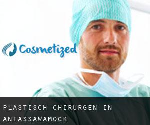 Plastisch Chirurgen in Antassawamock