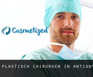 Plastisch Chirurgen in Antigny