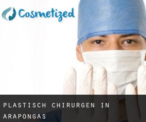 Plastisch Chirurgen in Arapongas