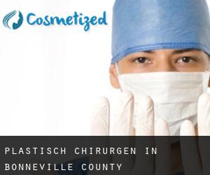 Plastisch Chirurgen in Bonneville County