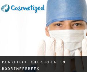 Plastisch Chirurgen in Boortmeerbeek