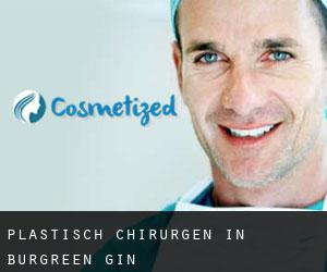 Plastisch Chirurgen in Burgreen Gin