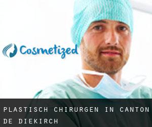 Plastisch Chirurgen in Canton de Diekirch