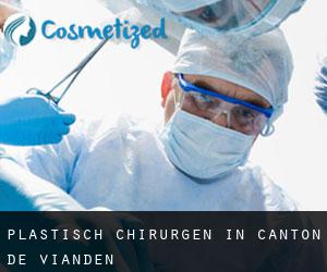Plastisch Chirurgen in Canton de Vianden