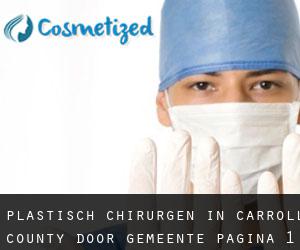 Plastisch Chirurgen in Carroll County door gemeente - pagina 1