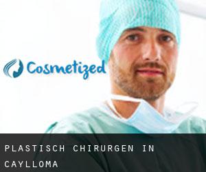 Plastisch Chirurgen in Caylloma