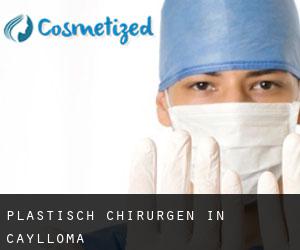 Plastisch Chirurgen in Caylloma