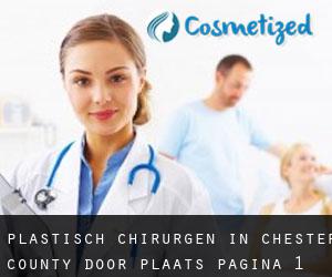 Plastisch Chirurgen in Chester County door plaats - pagina 1