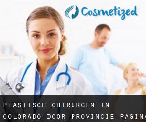 Plastisch Chirurgen in Colorado door Provincie - pagina 2