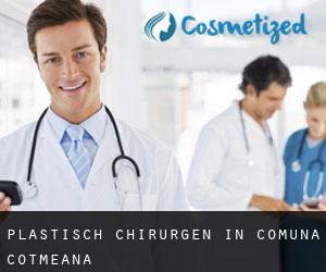 Plastisch Chirurgen in Comuna Cotmeana