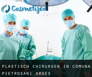 Plastisch Chirurgen in Comuna Pietroşani (Argeş)