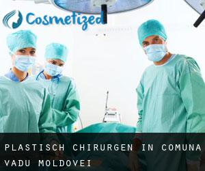 Plastisch Chirurgen in Comuna Vadu Moldovei
