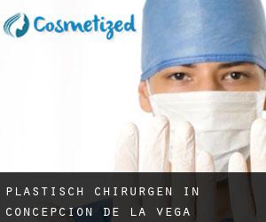 Plastisch Chirurgen in Concepción de la Vega