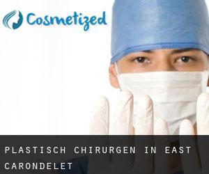 Plastisch Chirurgen in East Carondelet