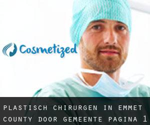 Plastisch Chirurgen in Emmet County door gemeente - pagina 1